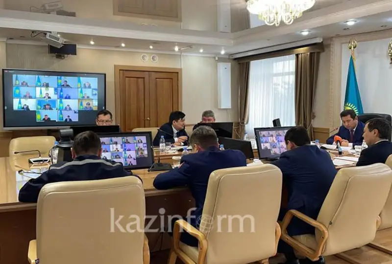 Стабилизировать ситуацию на простаивающей бройлерной фабрике поручил аким СКО