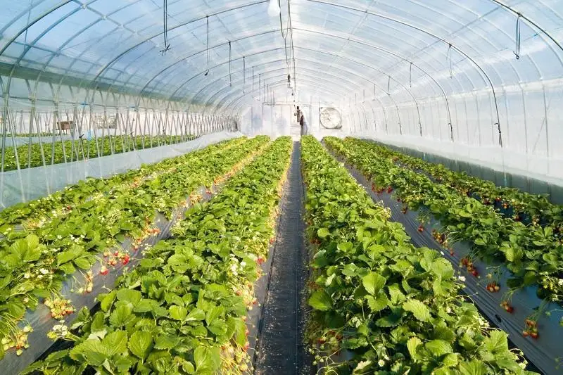 تۇركىستان وبلىسىندا ەلىمىزدەگى ەڭ ۇلكەن جىلىجاي كەشەنى سالىنادى