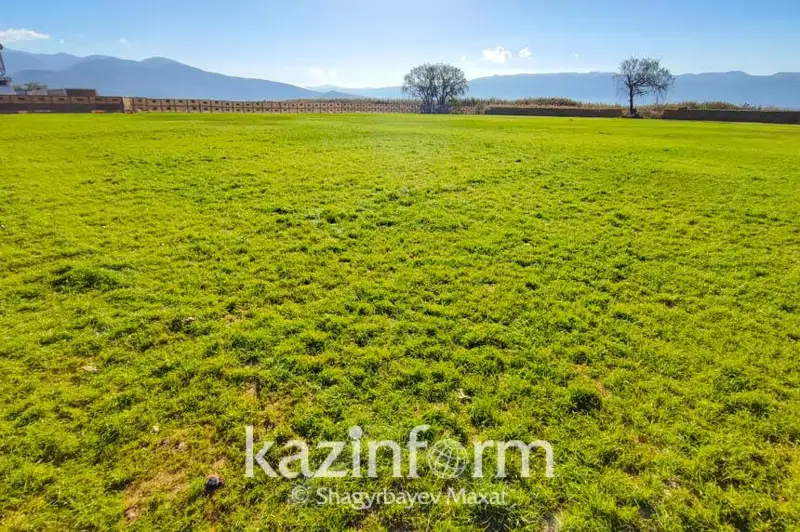 С 2022 года в Казахстане изъято 8 млн га неиспользуемых сельхозземель