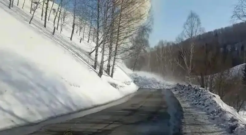 الماتى وبلىسىندا قار كوشكىنى ءجۇردى