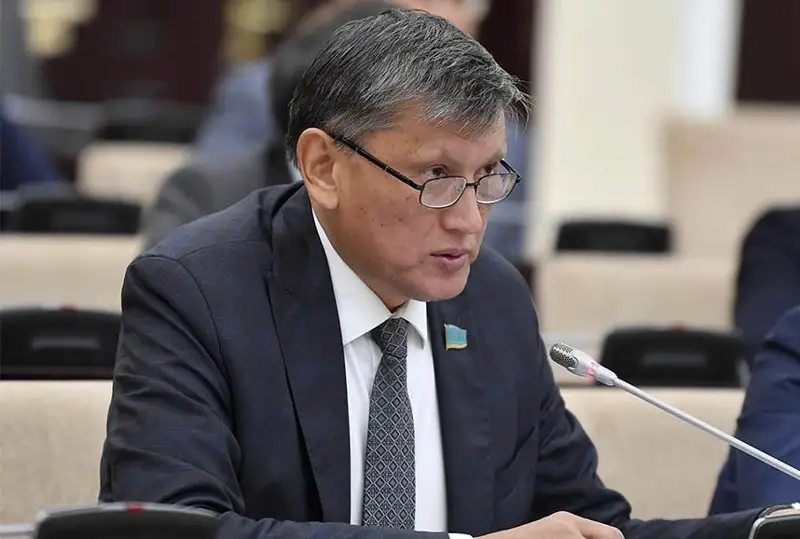 Распространением «цифрового аутизма» обеспокоен сенатор Нурторе Жусип