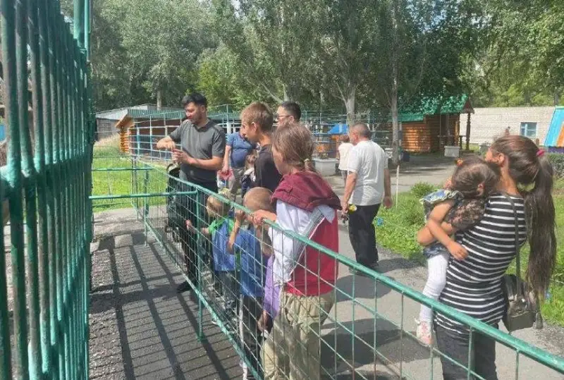 Semeıdegi orman órti: evakýatsııalanǵan balalar bos ýaqyttaryn tıimdi ótkizdi