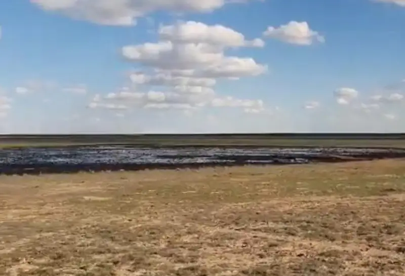 Разлитые в степи предположительно нефтепродукты обнаружили в Атырауской области