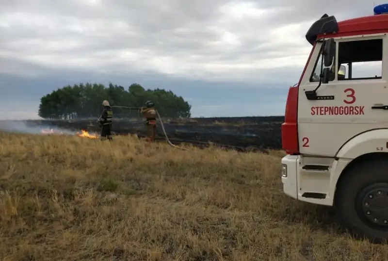 Возгорание сухостоя в Акмолинской области ликвидировано