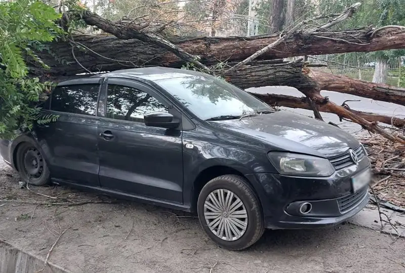 Упавшие деревья повредили автомобили в Алматы