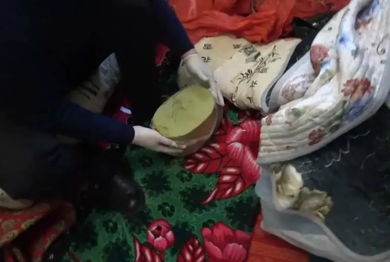 Aqmola polıtseıleri 8 keliden astam gashısh tárkiledi