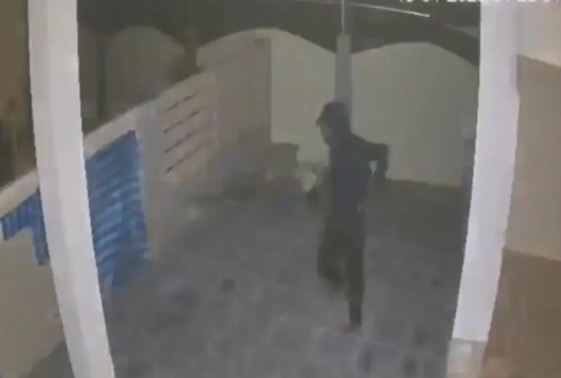 فيرۋزا ءشارىپوۆانىڭ ۇيىنە ۇرى تۇسكەن ءسات ۆيدەوكامەراعا جازىلىپ قالعان