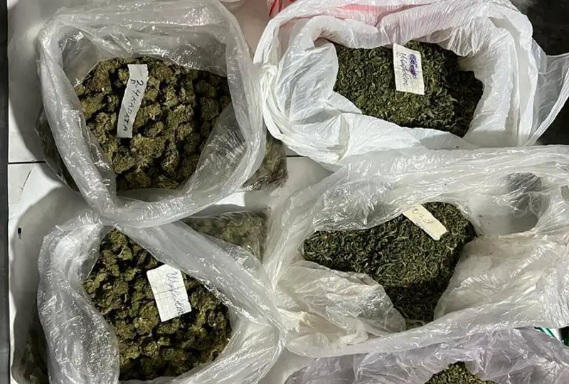 جامبىلدا ماريحۋانا ساقتاعان 55 جاستاعى ەر ادام ۇستالدى