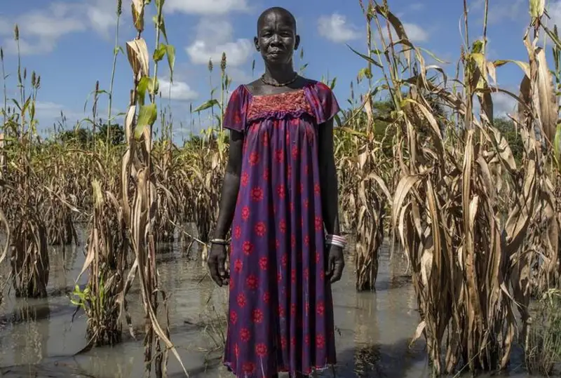 ООН: Число голодающих в мире с 2019 года увеличилось на 122 миллиона человек