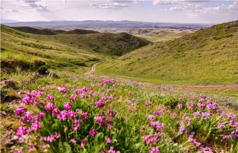 باتىستا كۇن سۋىتا باستايدى: الداعى كۇندەرى اۋا رايى قانداي بولادى؟