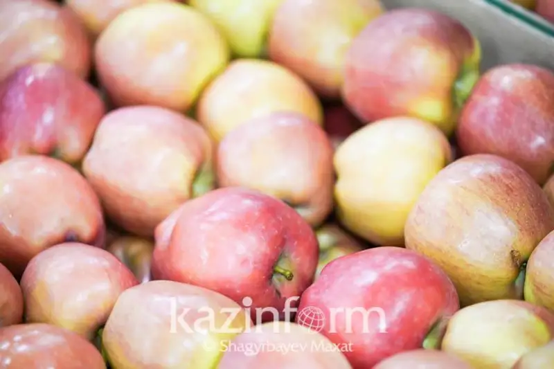 قازاقستان ىشكى نارىقتى ءوز الماسىمەن تولىق قامتاماسىز ەتەدى