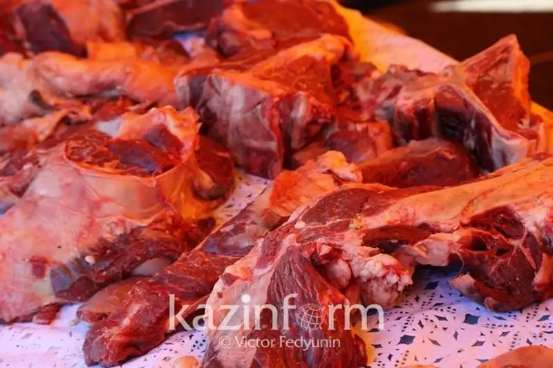 ادام برۋسەللەزدى قانداي جاعدايدا جۇقتىرىپ الۋى مۇمكىن