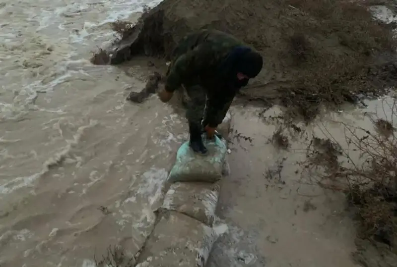 بايدىبەك اۋدانىندا 36 مال تاسقىن سۋ استىندا قالدى