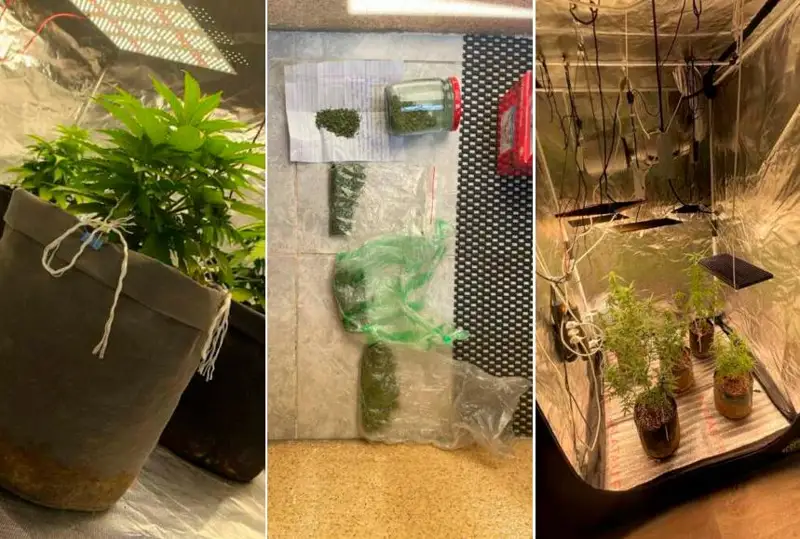 Две фитонарколаборатории организовали братья в Актау