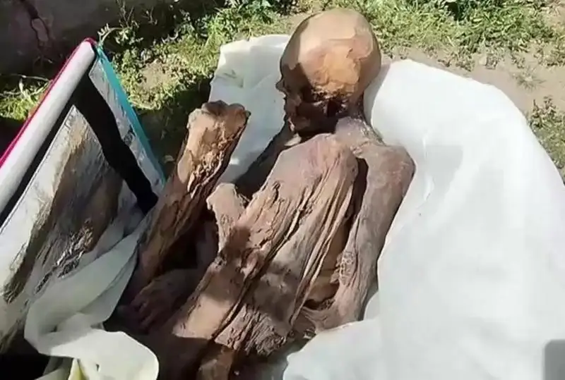 Перуда совутгич сумкада қадимий мумиёланган жасад олиб юрган одам ҳибсга олинди