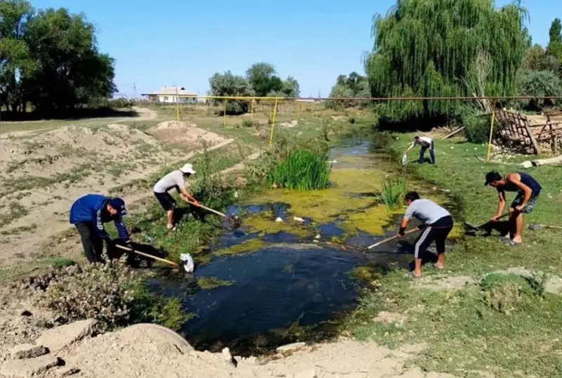 Родники очищают жители Жамбылской области
