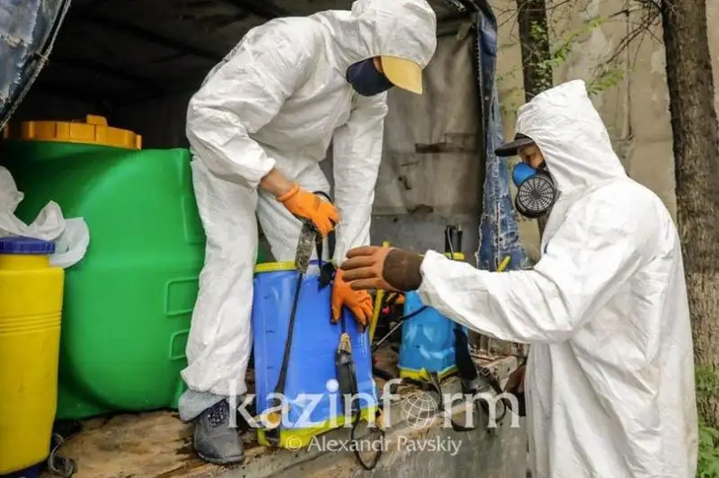 Алматинцев предупредили о начале второго тура противоклещевых обработок