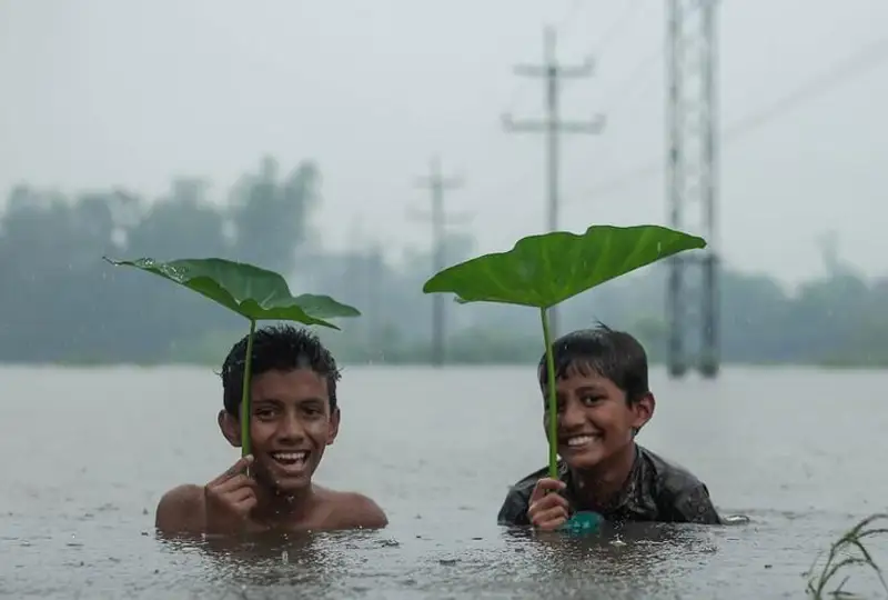 Около 2 миллионов жизней унесли  экстремальные погодные явления за полвека