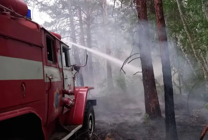 Личности трех человек, погибших в пожаре в области Абай пока не установили - МЧС