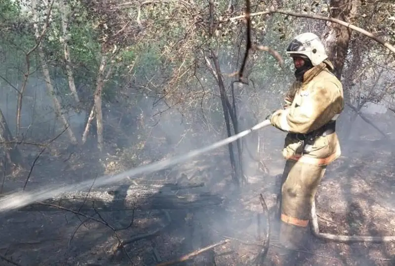 Оперативный штаб создан в связи с пожарами в области Абай