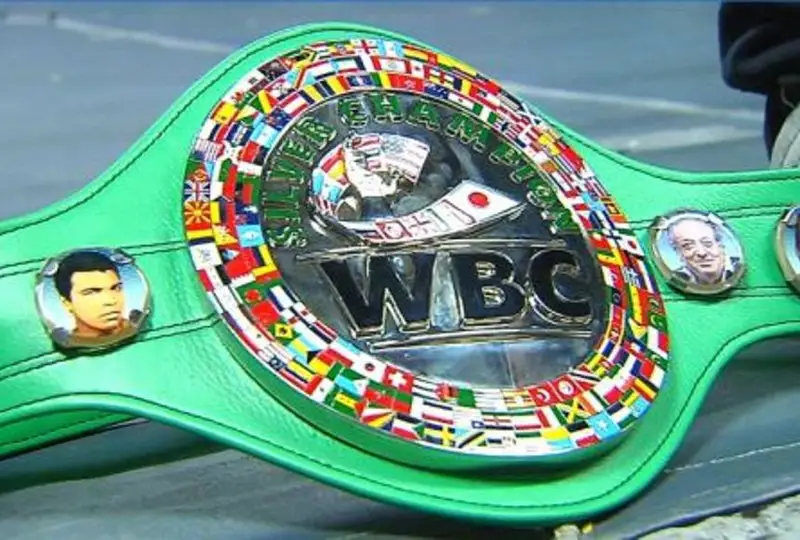 Боксера из Казахстана официально лишили чемпионского титула