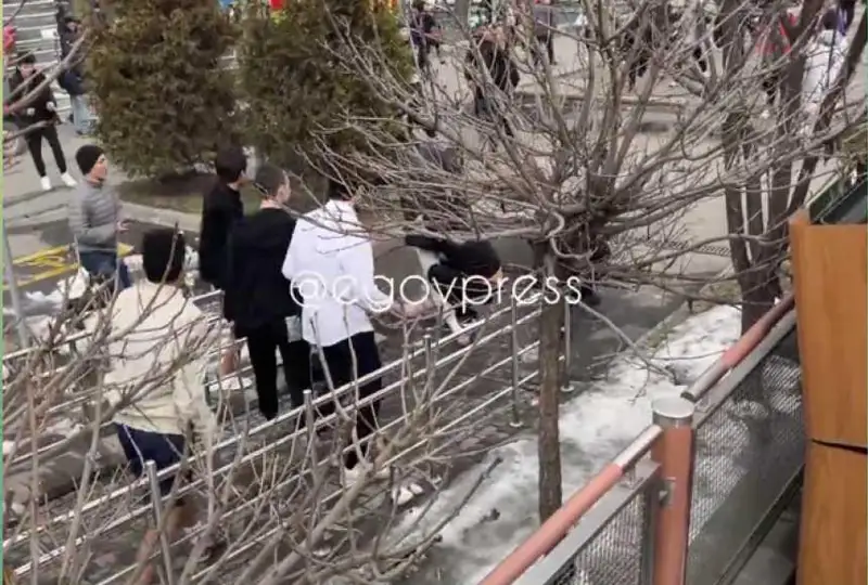 Полиция проводит расследование по массовой драке школьников в Алматы