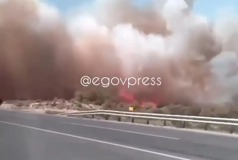 Сухая трава загорелась в Кызылорде