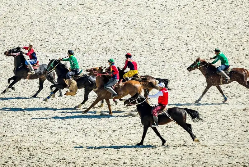 Подготовка к проведению Всемирных игр кочевников началась в Казахстане