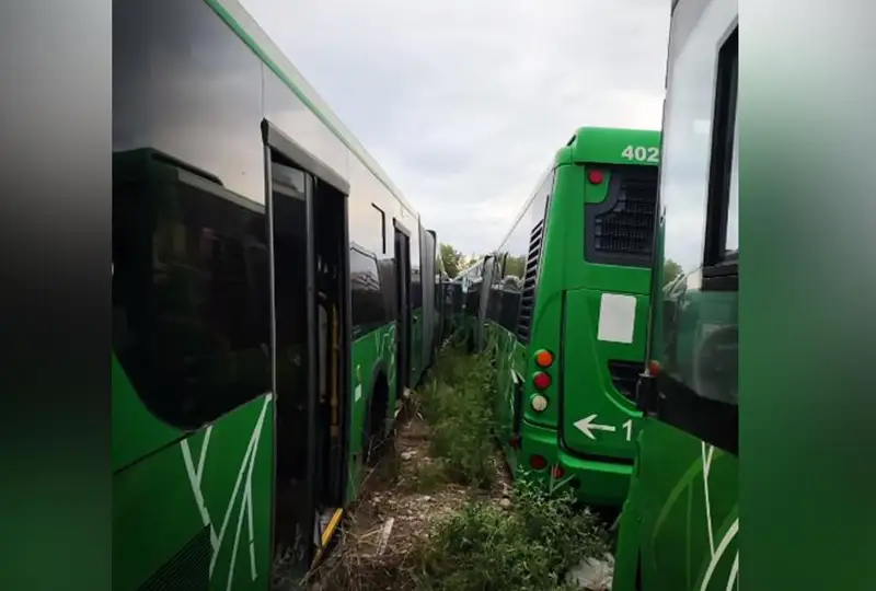 مارات قارابايەۆ الماتى ماڭىندا قاڭتارىلىپ تۇرعان 300 اۆتوبۋسقا قاتىستى پىكىر ءبىلدىردى