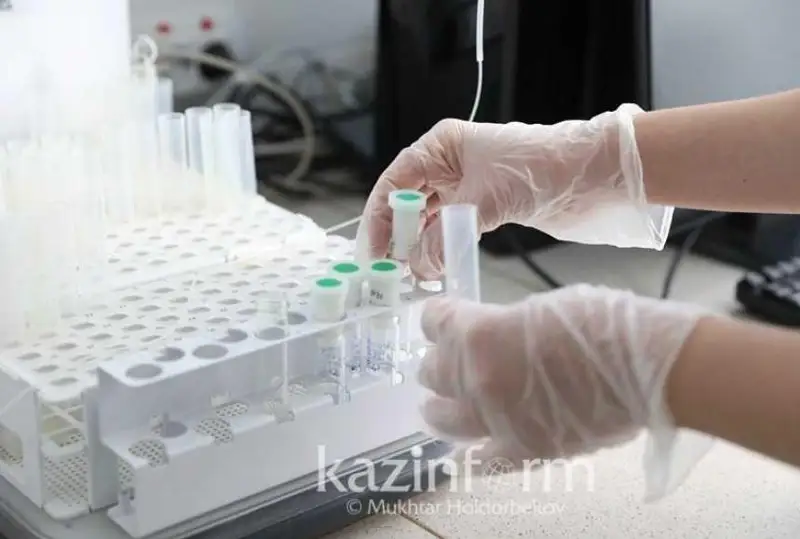 Шымкентте олимпиадаға келген оқушылардың жаппай ауыруының себебі айтылды