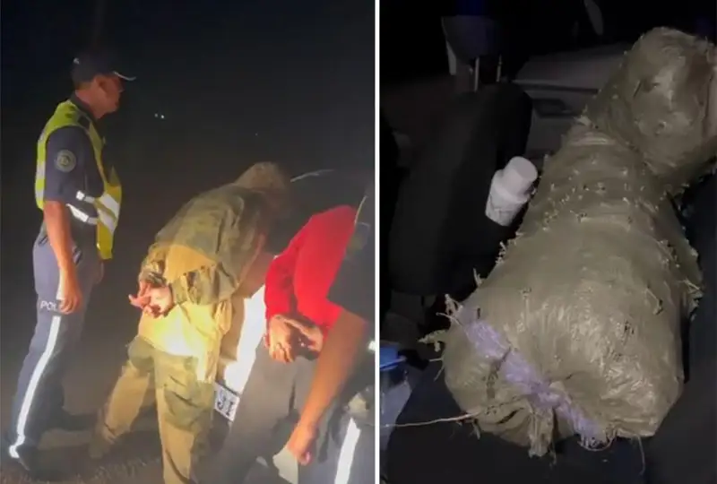 20 кг марихуаны изъяли из авто жителя Конаева