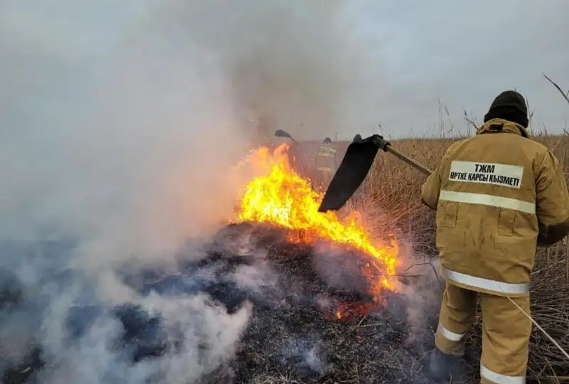 Семь гектаров горящего тростника тушат в Атырауской области