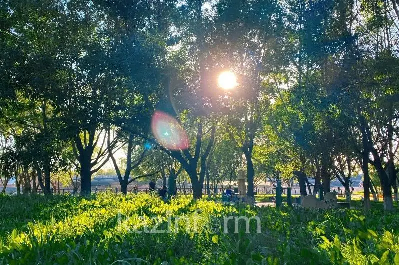 Когда отступит жара в СКО