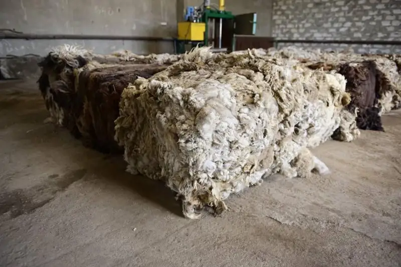 Қозоғистонда қўй жунидан қурилиш материали тайёрланади