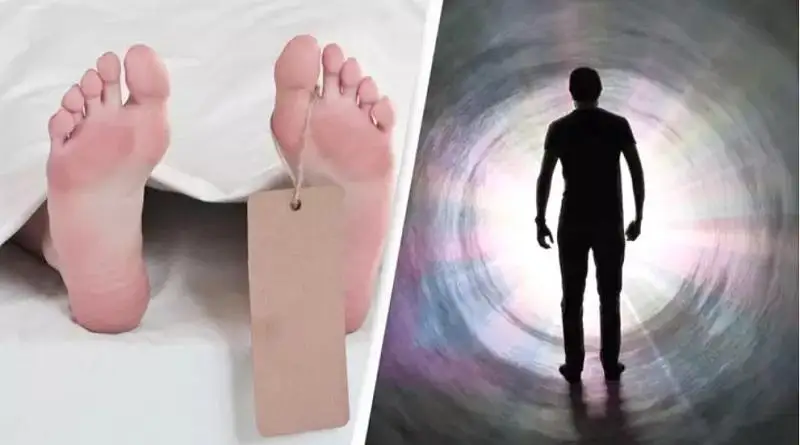 Жизнь после смерти невозможна, утверждает американский ученый