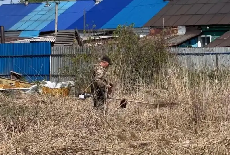 Камыш косят в Петропавловске после крупного пожара