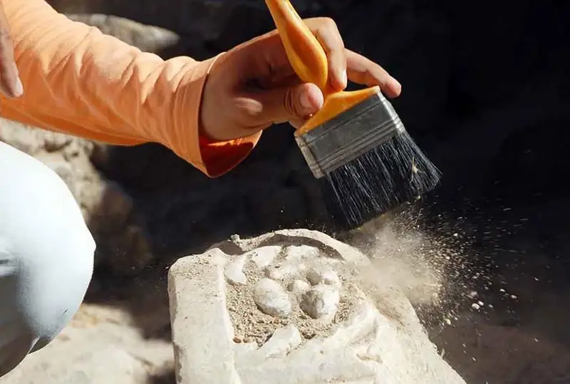 184 исторических памятника и реликвий нашли на юге Китая