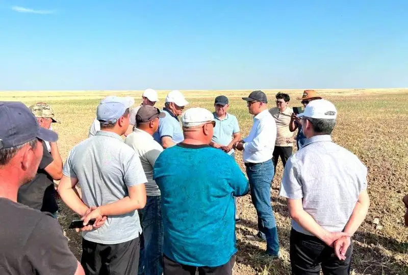Ситуация с саранчой: глава МСХ посетил Айтекебийский район Актюбинской области