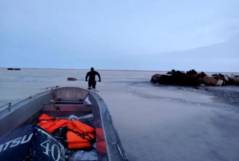 Табун лошадей едва не погиб в Акмолинской области