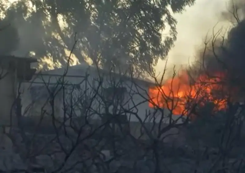 Родосдаги ўрмон ёнғинлари: 30 000 киши эвакуация қилинди