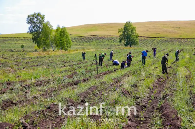 Bıyl ońtústik óńirler 300 myń gektardan astam alqapqa dán septi