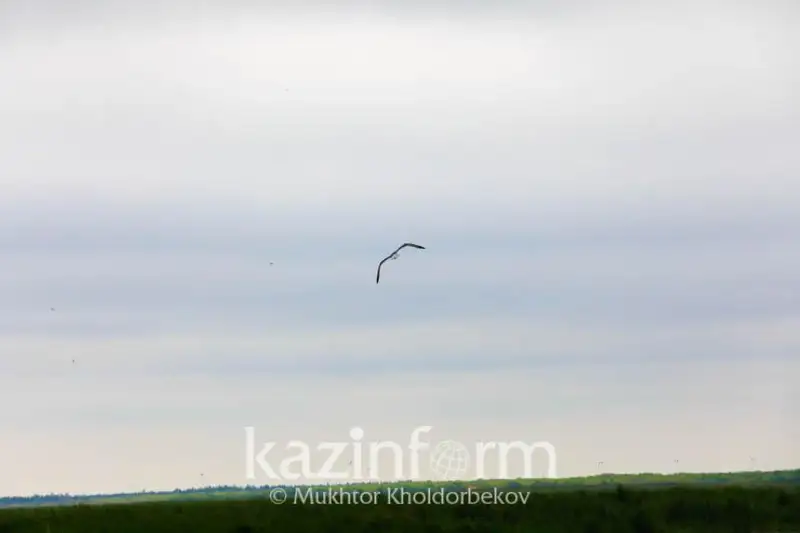 Неблагоприятные метеоусловия ожидаются в Алматы, Актобе и Атырау