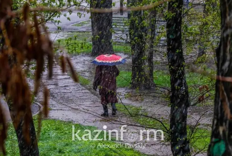 بۇگىنگى كۇننىڭ اۋا رايى بولجامى