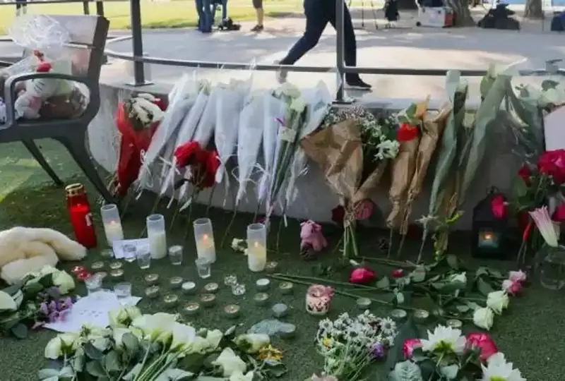 Францияда ўйин майдончасида болаларни пичоқлаган қочқин ҳибсга олинди