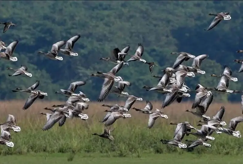 كليماتتىڭ وزگەرۋىنەن تابيعي اپات كوبەيەدى