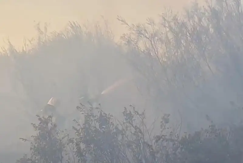 استانا ىرگەسىندە قۇرعاق ءشوپ پەن قامىس ورتەنىپ جاتىر