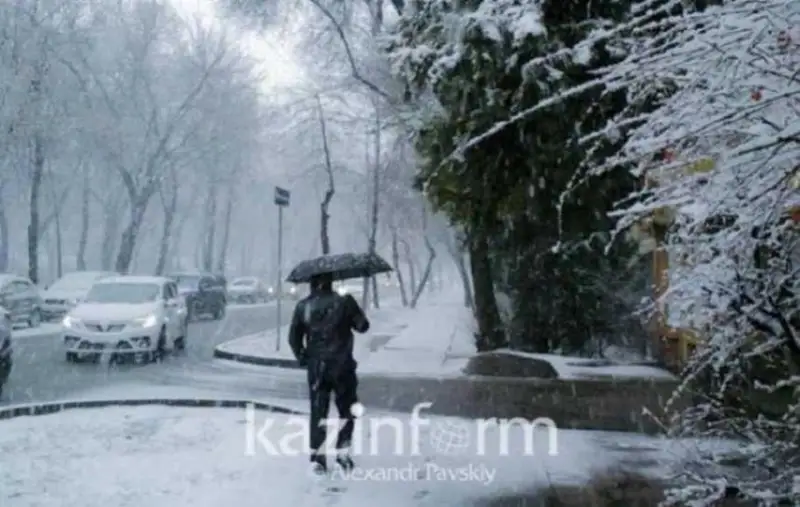 الداعى 3 كۇندە قازاقستاننىڭ باسىم بولىگىندە جاۋىن جاۋادى