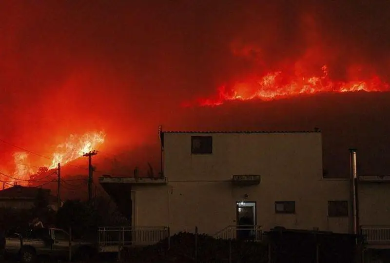 Число жертв второй волны лесных пожаров в Греции выросло до 26