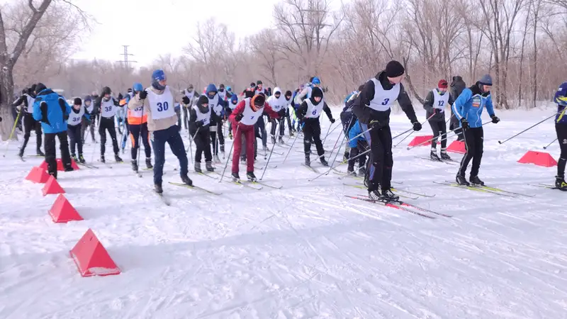 Определились победители зимних спартакиад в Карагандинской области