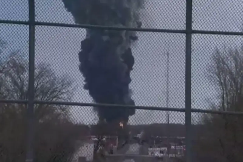 Почти 45 тысяч животных погибло в результате крушения поезда с токсичным газом в Огайо